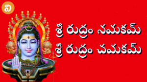 శ్రీ రుద్ర నమకం/చమకం